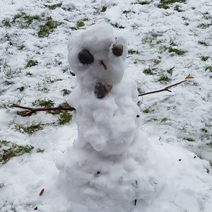 Meet your Posher, Rosa